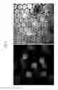 Fig. 04 - Method and system for synthesizing a target polynucleotide within a droplet
