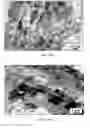 Fig. 03 - Atomized picoscale composition aluminum alloy and method thereof