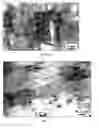 Fig. 04 - Atomized picoscale composition aluminum alloy and method thereof