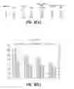 Fig. 06 - Atomized picoscale composition aluminum alloy and method thereof