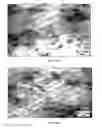 Fig. 10 - Atomized picoscale composition aluminum alloy and method thereof