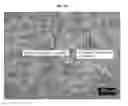 Fig. 05 - Ferritic steel