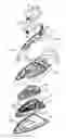 Fig. 01 - Steam iron