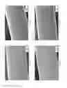 Fig. 06 - Composite Material and Reinforcing Fiber