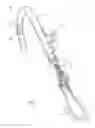 Fig. 02 - Sensor-operated pull-out faucet