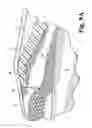 Fig. 09 - Beach entry fiberglass pool system