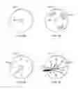 Fig. 08 - Hybrid physical and logical locking device and mechanism