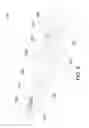 Fig. 06 - PRESSURIZED CHEMICAL THEFT DETERRENT DEVICE
