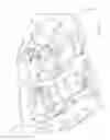 Fig. 03 - Vehicle door latch assemblies