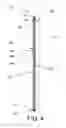 Fig. 05 - Panel door system