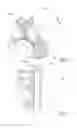 Fig. 06 - Two-stroke internal combustion engine