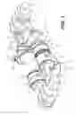 Fig. 02 - Opposed-piston compact engine with crankshafts rotating on a different plant to those of the cylinder axes