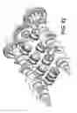Fig. 27 - Opposed-piston compact engine with crankshafts rotating on a different plant to those of the cylinder axes