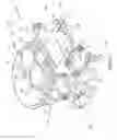 Fig. 04 - Electronic fuel injection throttle body assembly