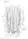 Fig. 05 - Spark plug with supply passage for fuel, and a system with same