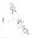Fig. 08 - VEHICLE SKELETON SUPPORT APPARATUS