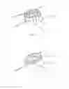 Fig. 06 - Device for the sealed passing-through of an elongate part