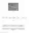 Fig. 02 - Preparation method of uniform low stress cone shaped charge liner