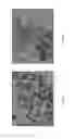 Fig. 07 - Method and devices for signifying scrubbing action
