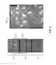 Fig. 06 - Light-sheet microscope with parallelized 3D image acquisition