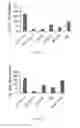Fig. 07 - ECM COMPOSITION, TUMOR MICROENVIRONMENT PLATFORM AND METHODS THEREOF
