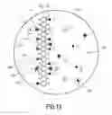 Fig. 08 - Method for detecting and/or characterising tumour cells and associated apparatus