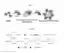 Fig. 02 - Bimetal-conductive polymer Janus composite nanostructure having electrical stimulus response, colloid self-assembled structure thereof, preparing method, and bio-sensing, bio-imaging, drug delivery and industrial application