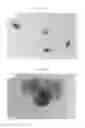 Fig. 45 - Bimetal-conductive polymer Janus composite nanostructure having electrical stimulus response, colloid self-assembled structure thereof, preparing method, and bio-sensing, bio-imaging, drug delivery and industrial application