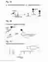 Fig. 02 - MICROPATTERNING ASSEMBLY, METHODS FOR MICROPATTERNING, AND MICROPATTERNED DEVICES