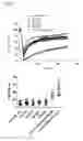 Fig. 04 - Internally fixed lipid vesicle
