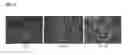 Fig. 06 - Internally fixed lipid vesicle