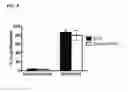 Fig. 09 - Internally fixed lipid vesicle