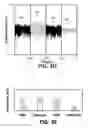 Fig. 08 - Antibiotic susceptibility testing via plasmonic imaging and tracking