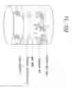 Fig. 02 - Immunoassay methods and compositions for detecting infection involving use of test antigens as cross-reactive control antigens