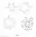 Fig. 09 - Methods and compositions for mass spectrometry analysis