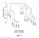 Fig. 08 - METHODS AND COMPOSITIONS FOR DETECTING ENDOMETRIAL OR OVARIAN CANCER