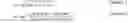 Fig. 02 - Dual waveforms for three-dimensional imaging systems and methods thereof
