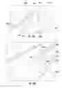 Fig. 22 - Traceable fiber optic cable assembly with indication of polarity