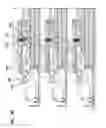 Fig. 29 - Selectively lockable cable spool assemblies for communications panels