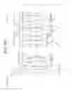 Fig. 409 - Zoom optical system, optical device and method for manufacturing the zoom optical system