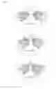 Fig. 09 - Binoculars and ocular lens