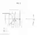 Fig. 06 - Eyepiece optical system and observation apparatus