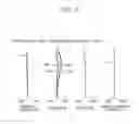 Fig. 09 - Eyepiece optical system and observation apparatus