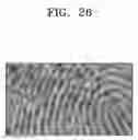 Fig. 27 - Touch-fingerprint complex sensor, operating method thereof, and electronic apparatus including the touch-fingerprint complex sensor