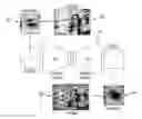Fig. 01 - Image transformation with a hybrid autoencoder and generative adversarial network machine learning architecture