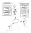 Fig. 01 - REAL-TIME NET SETTLEMENT BY DISTRIBUTED LEDGER SYSTEM