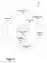 Fig. 04 - REAL-TIME NET SETTLEMENT BY DISTRIBUTED LEDGER SYSTEM