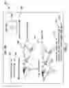 Fig. 05 - Systems and Methods for Performing Network-Based Transactions