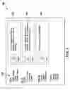 Fig. 10 - Systems and Methods for Performing Network-Based Transactions
