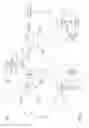 Fig. 02 - Reachability determination in wavelength division multiplexing network based upon fiber loss measurements